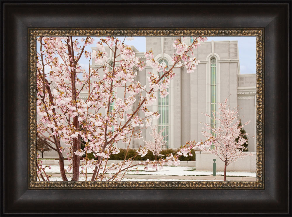 Mt Timpanogos Temple - Cherry Blossoms