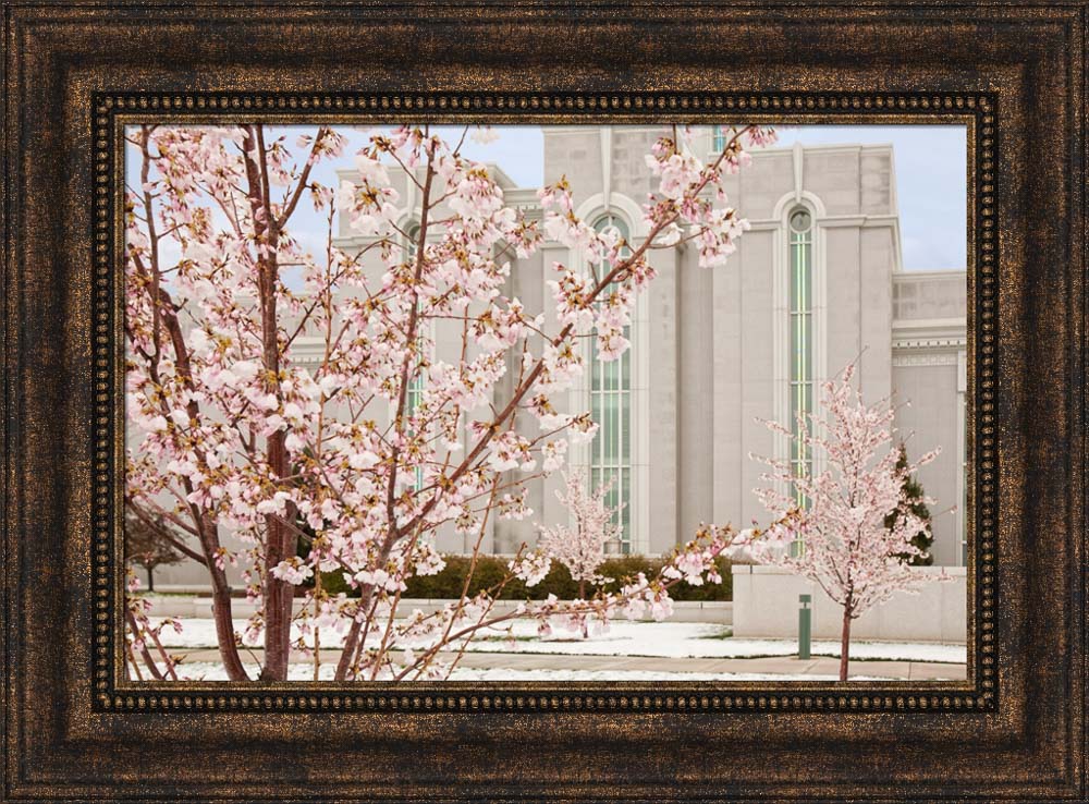 Mt Timpanogos Temple - Cherry Blossoms