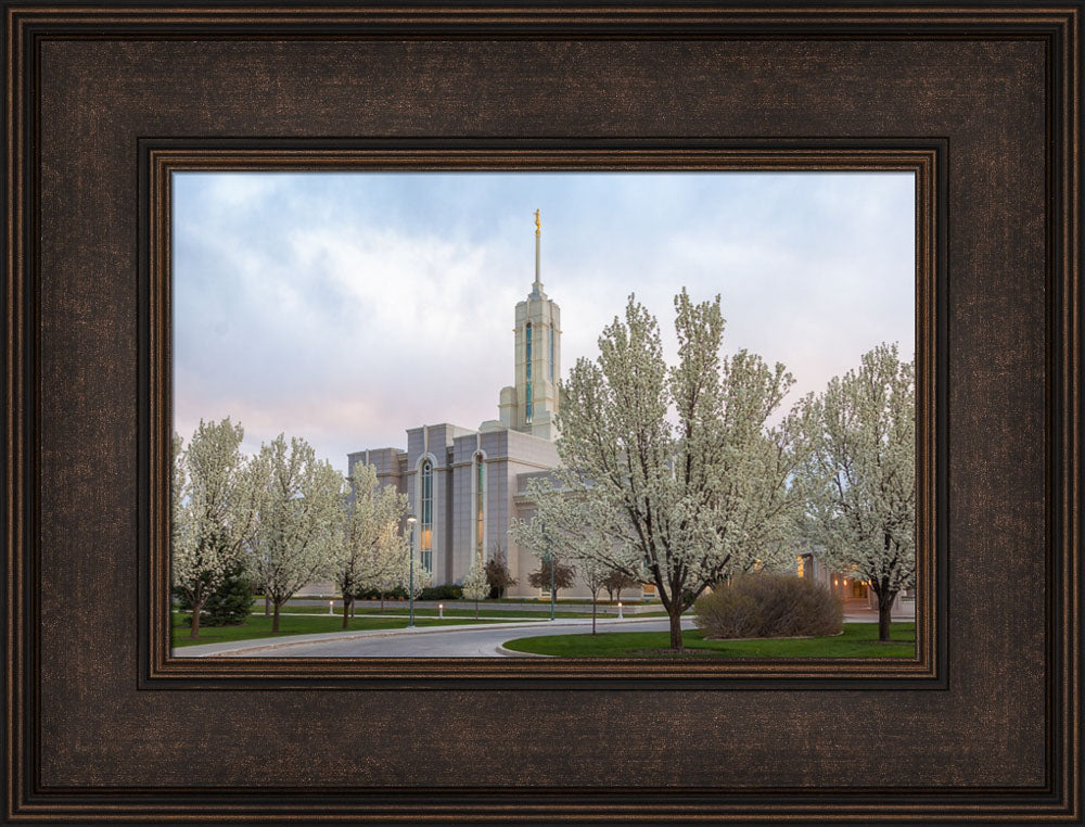 Mt Timpanogos Temple - Spring Blossoms