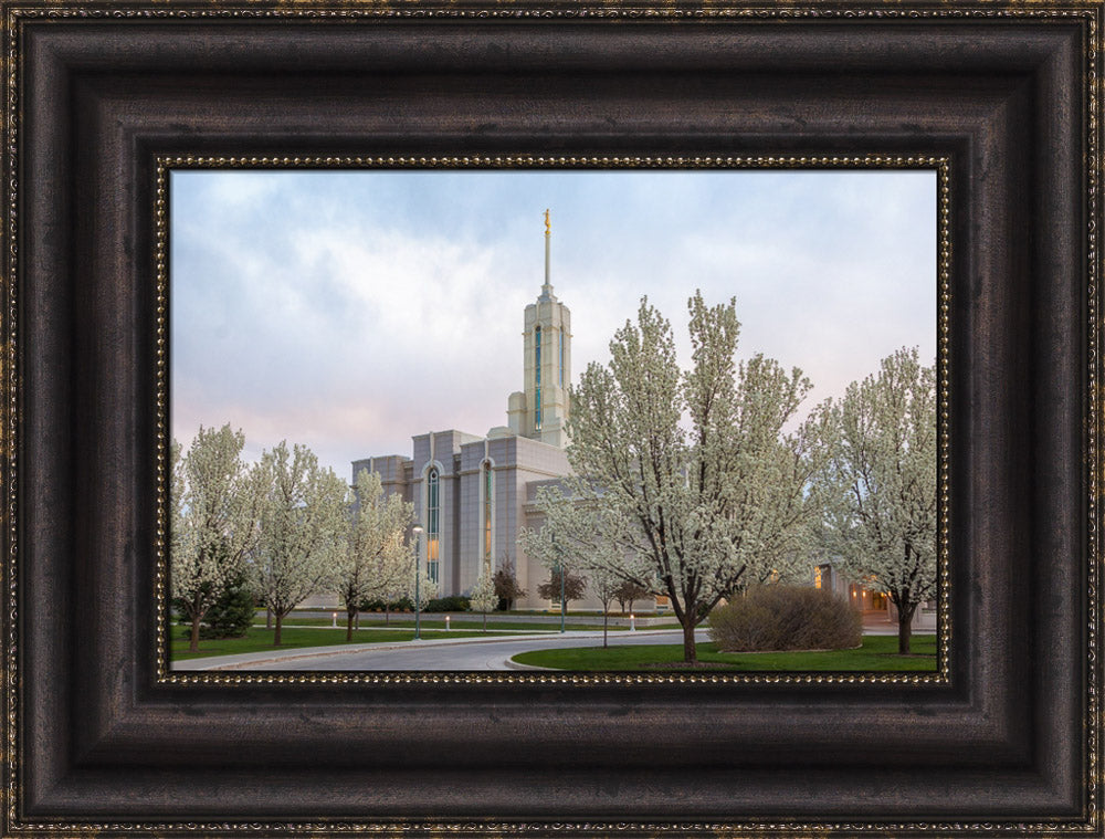 Mt Timpanogos Temple - Spring Blossoms