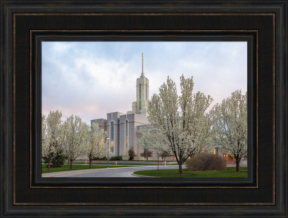 Mt Timpanogos Temple - Spring Blossoms