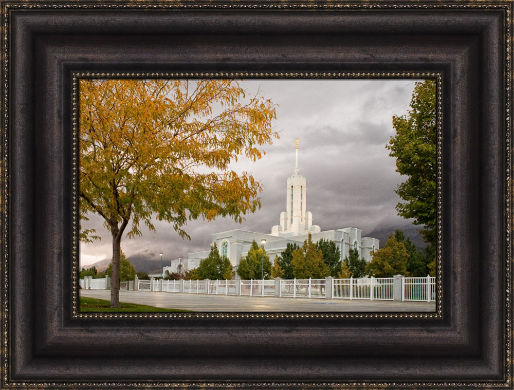 Mt Timpanogos Temple - Fall Yellow Trees