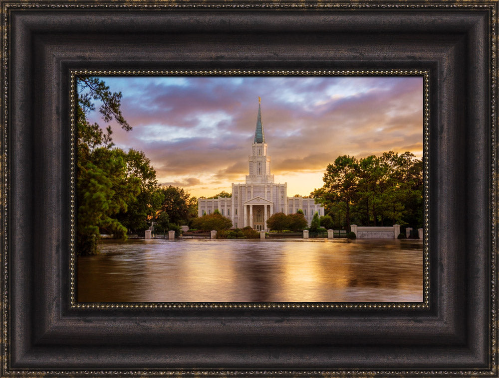 Houston Temple - Reflection of Hope