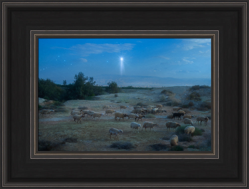 Shepherds Fields by Robert A Boyd