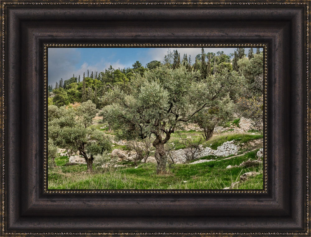 Mount of Olives by Robert A Boyd
