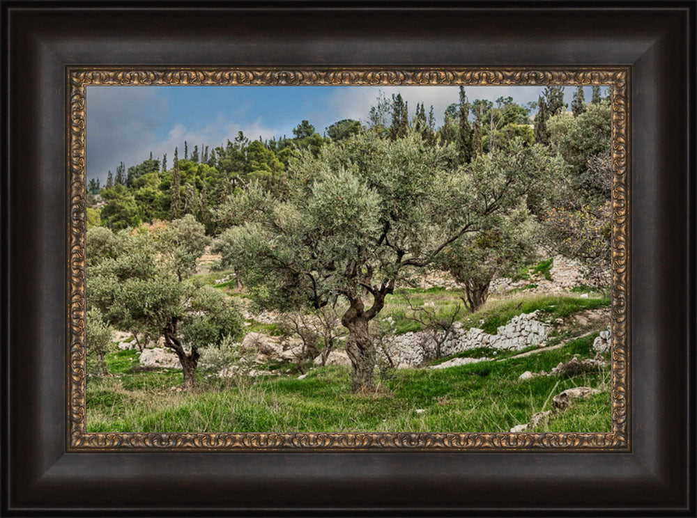 Mount of Olives