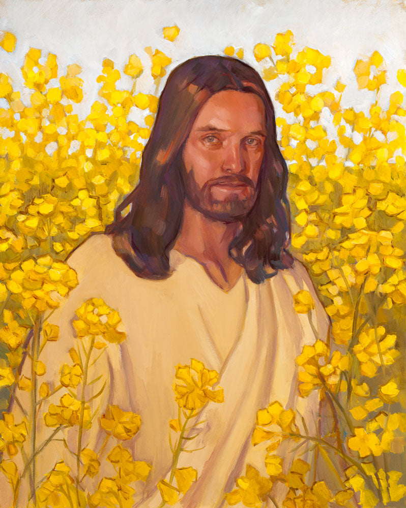 Portrait of Jesus standing in a field of blooming yellow flowers.