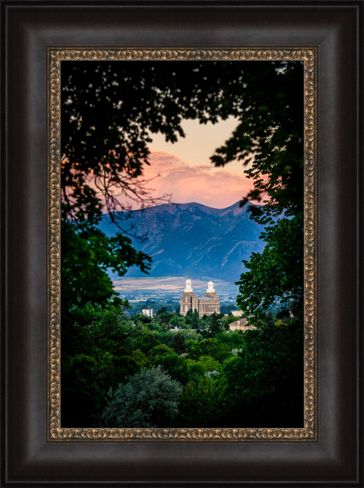 Logan Temple - Framed by Trees