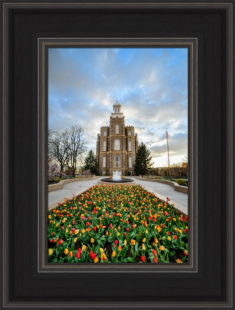 Logan Temple - Tulips