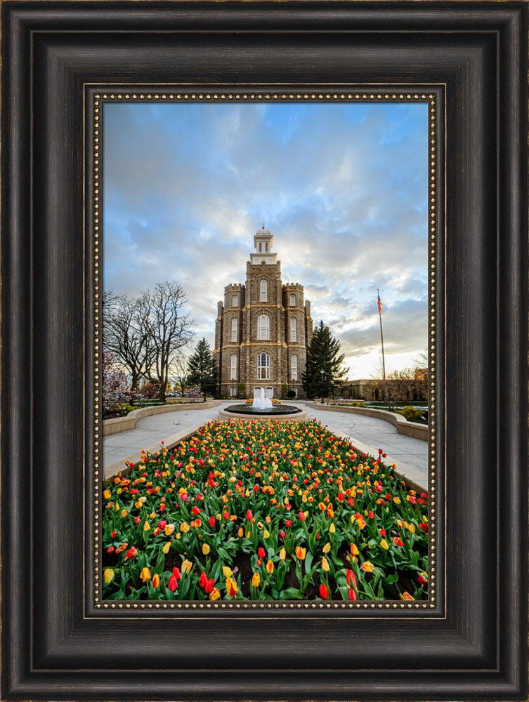 Logan Temple - Tulips