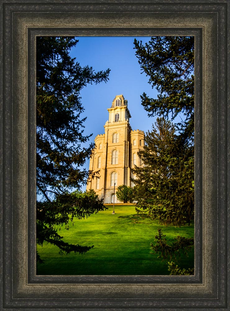 Manti Temple - Through the Trees