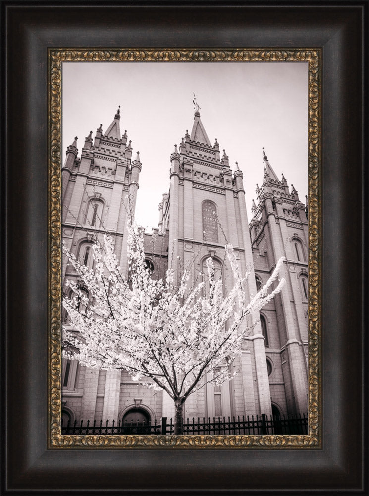 Salt Lake Temple - Flowering Tree