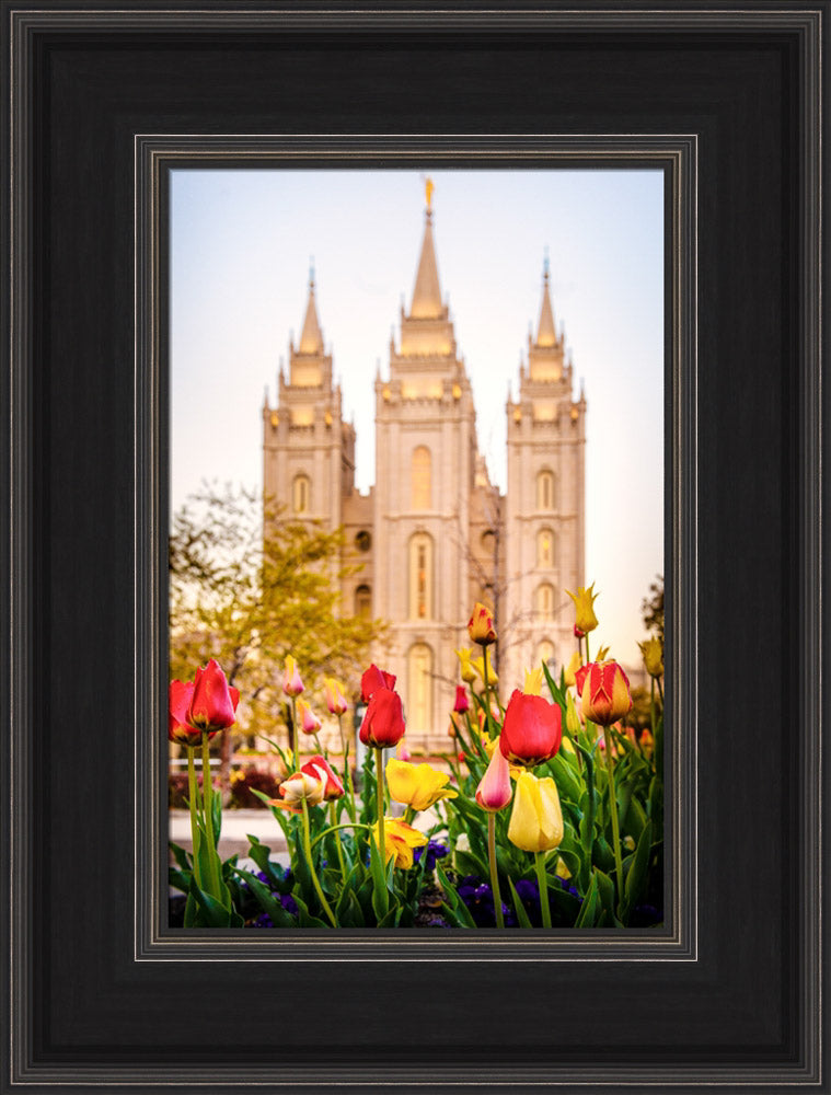 Salt Lake Temple - Tulips