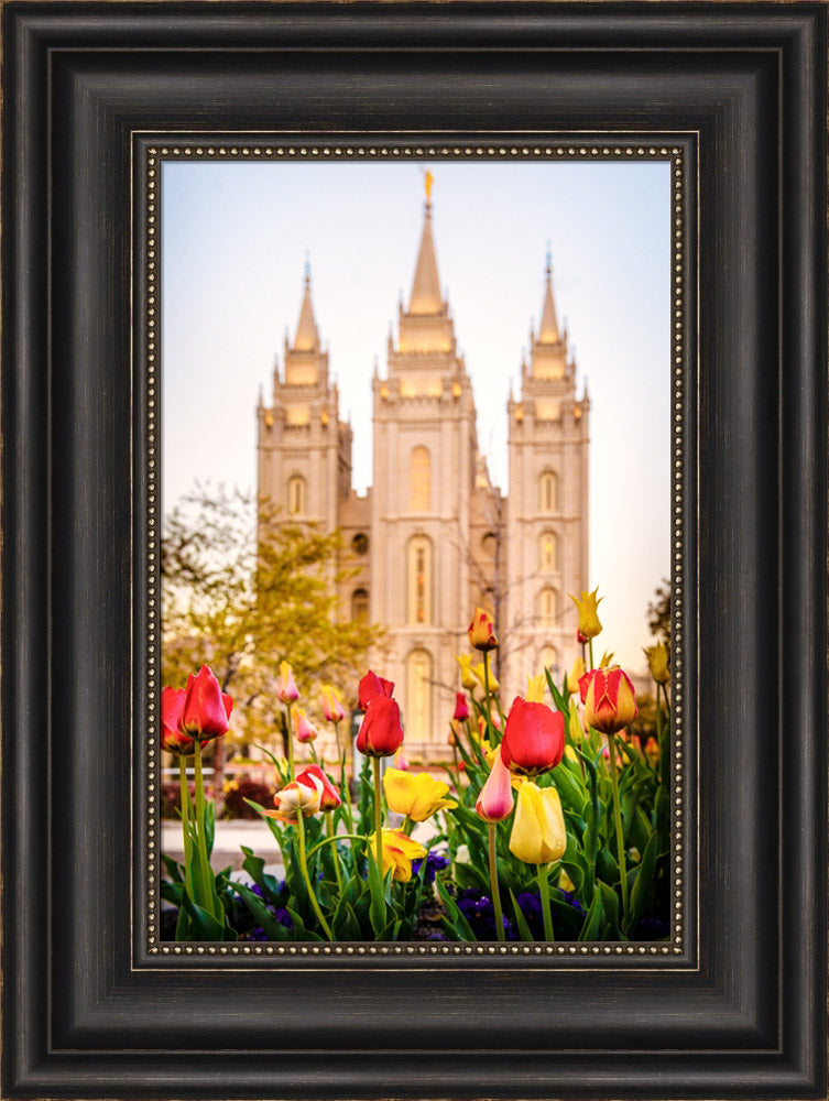 Salt Lake Temple - Tulips