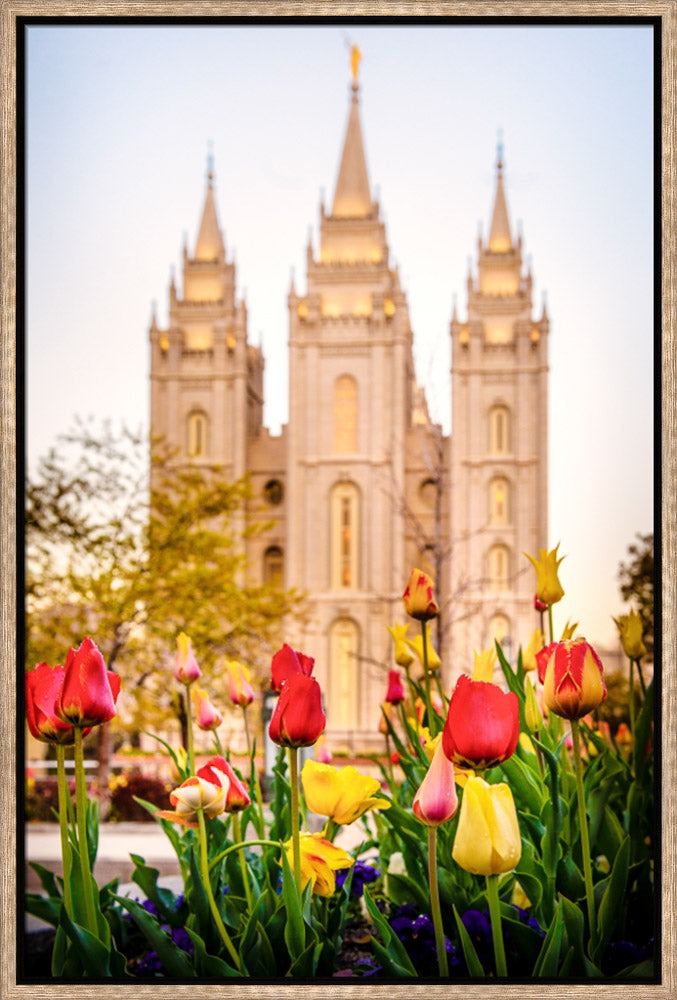 Salt Lake Temple - Tulips
