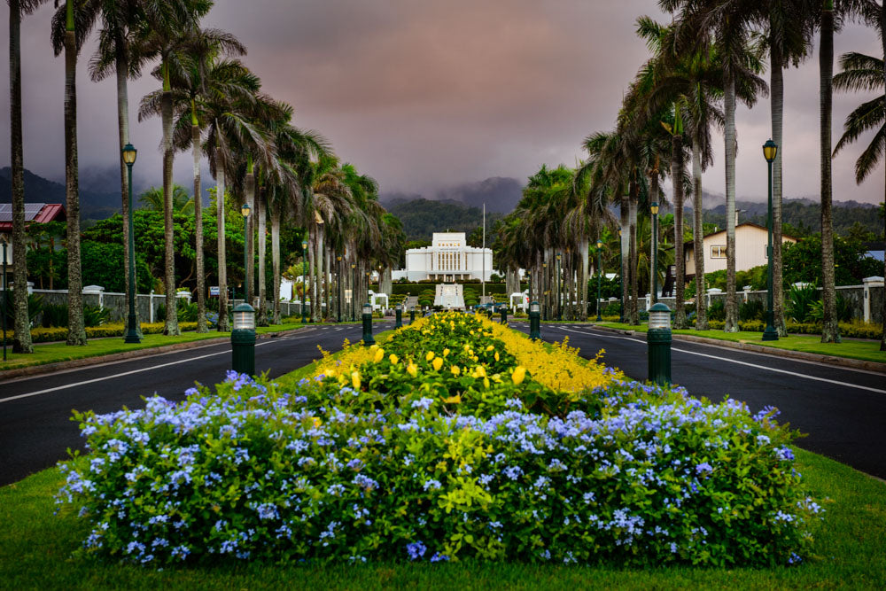 Laie Temple - Down the Road