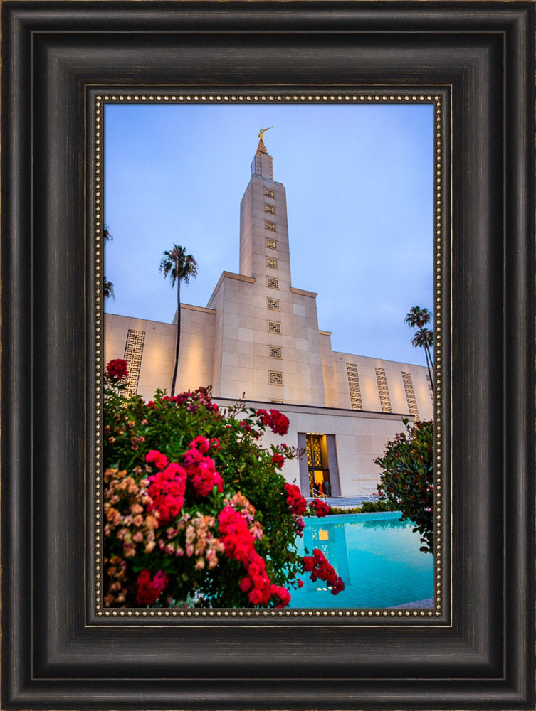 Los Angeles Temple - Red Flowers