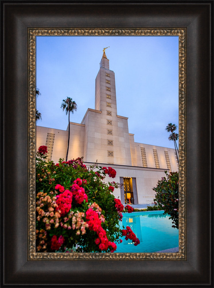 Los Angeles Temple - Red Flowers