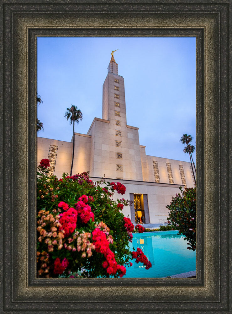 Los Angeles Temple - Red Flowers