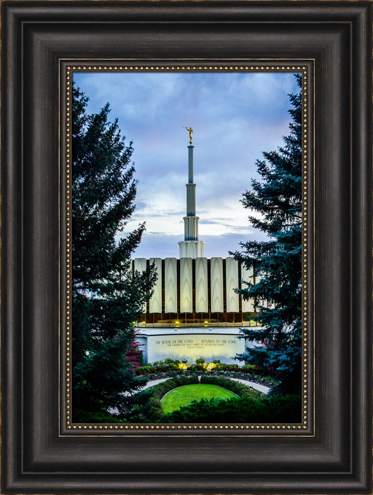 Provo Temple - Between the Trees