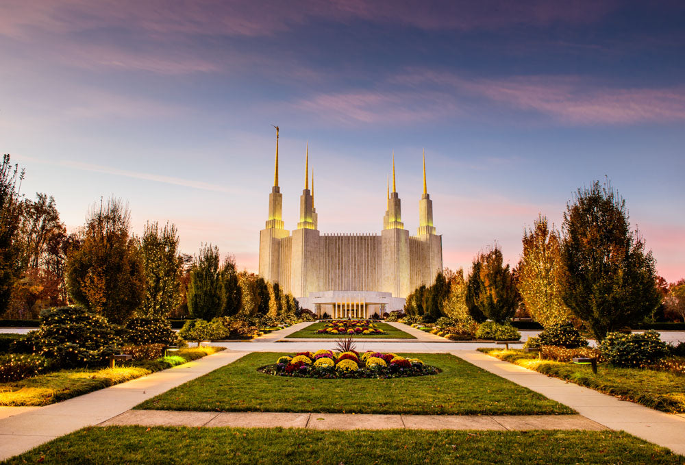 Washington DC Temple - Yellow Christmas Lights