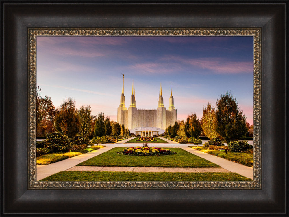Washington DC Temple - Yellow Christmas Lights