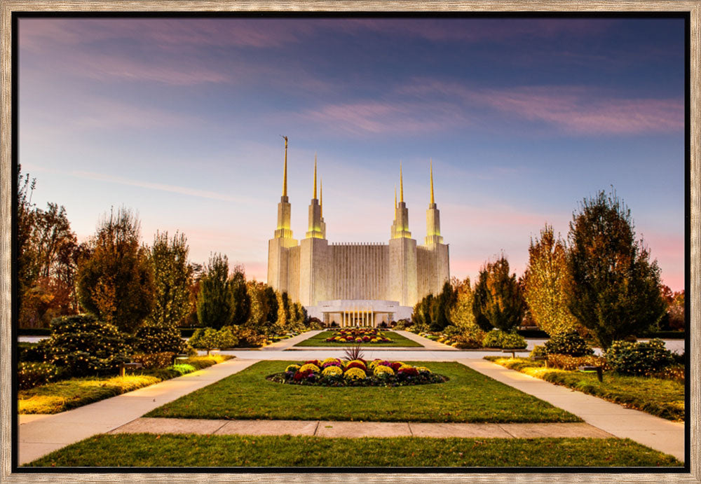Washington DC Temple - Yellow Christmas Lights