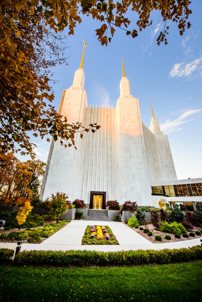 Washington DC Temple - Through the Leaves