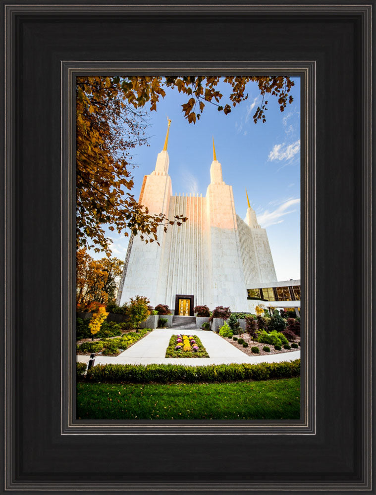 Washington DC Temple - Through the Leaves