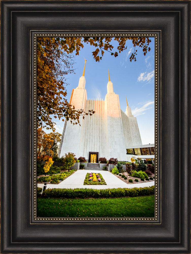 Washington DC Temple - Through the Leaves