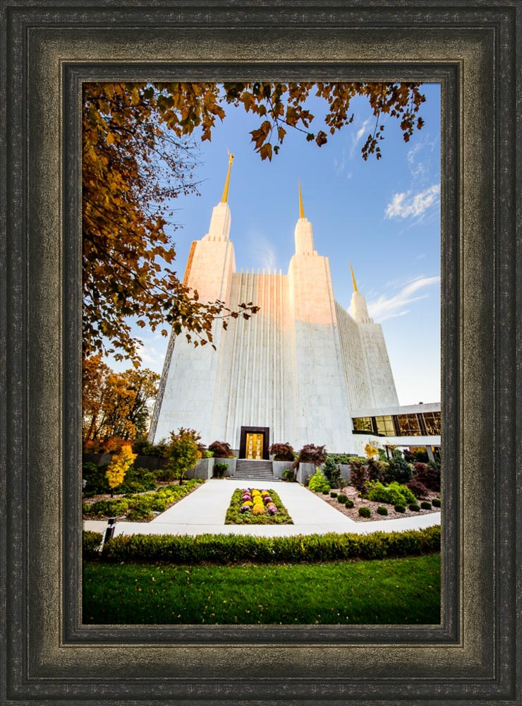 Washington DC Temple - Through the Leaves