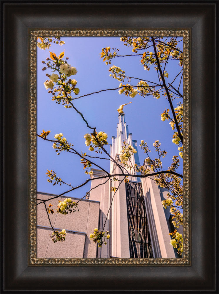 Tokyo Temple - Through the Trees