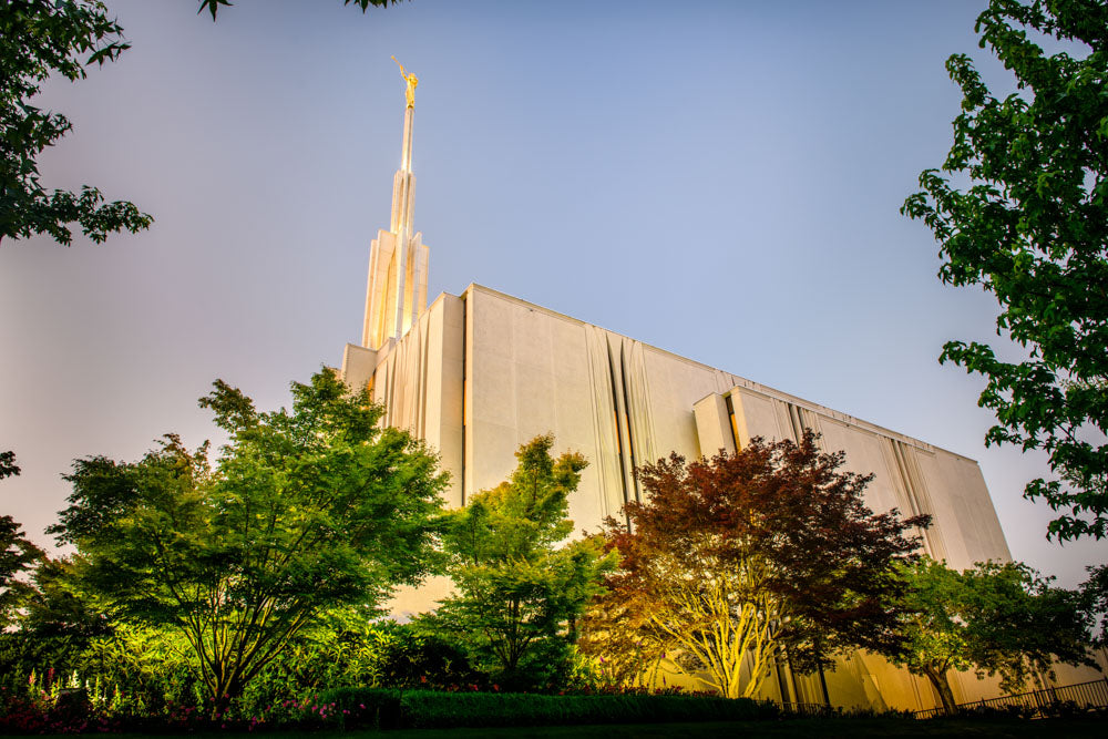 Seattle Temple - Sunset from the Side