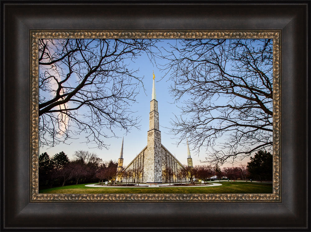 Chicago Temple - Through Trees Horizontal