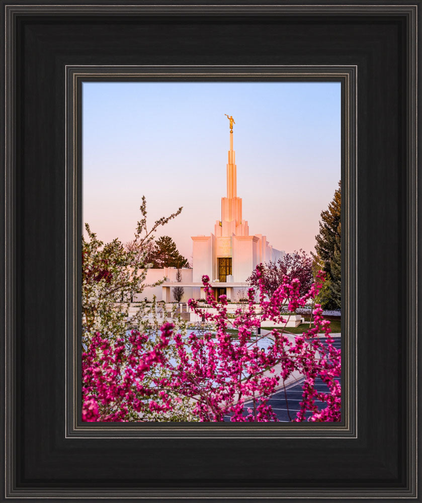 Denver Temple - Spring Sunrise