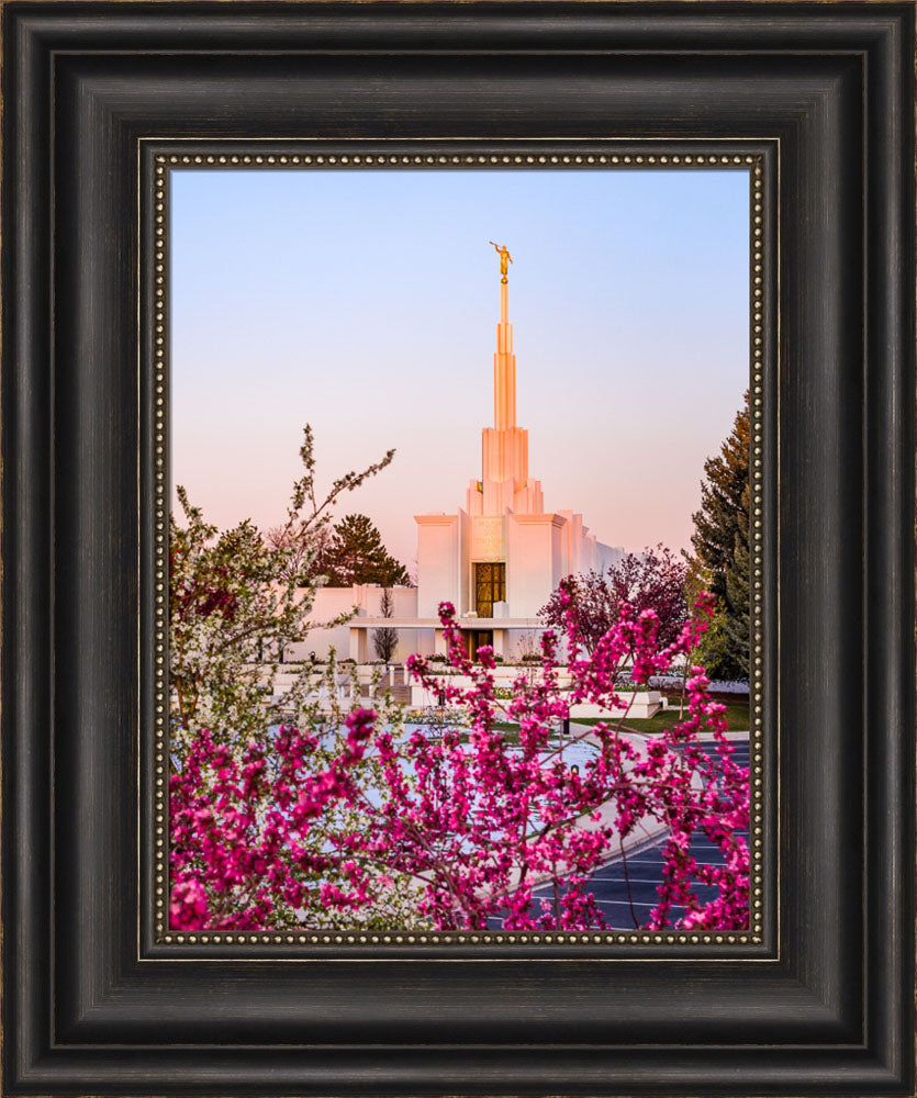 Denver Temple - Spring Sunrise
