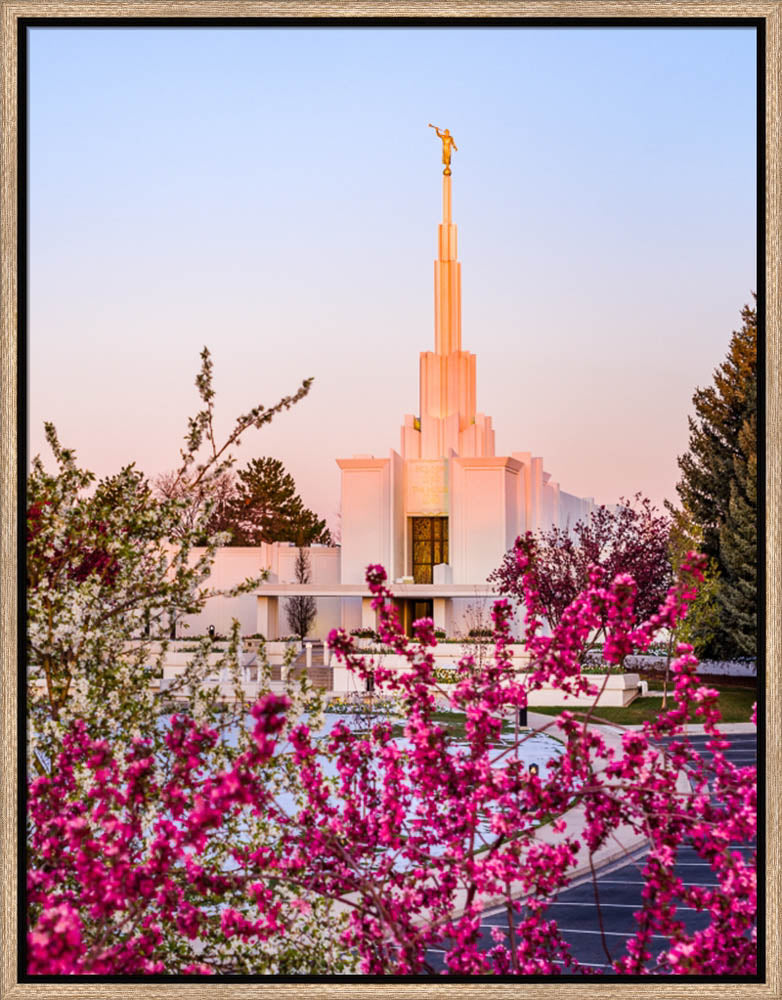 Denver Temple - Spring Sunrise