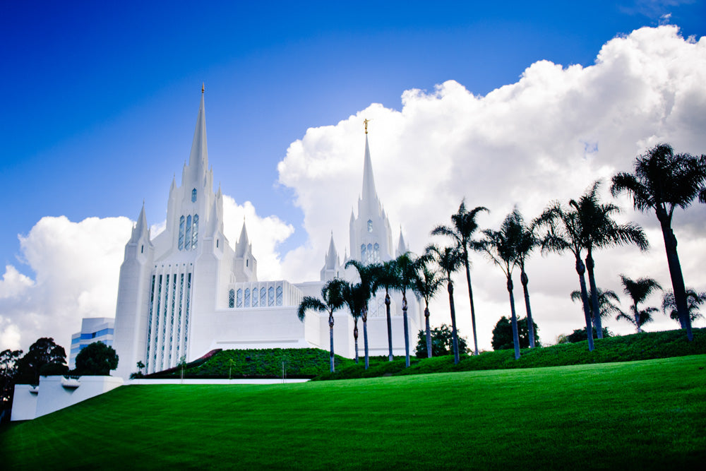 San Diego Temple - Summer Palms