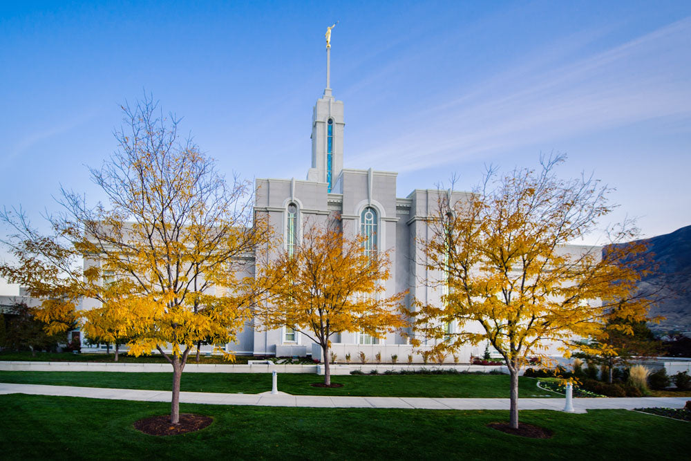 Mt Timpanogos Temple - Fall Trees