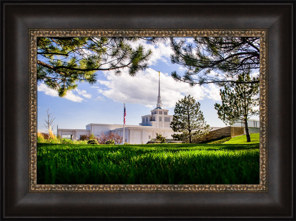 Billings Temple - Through Trees