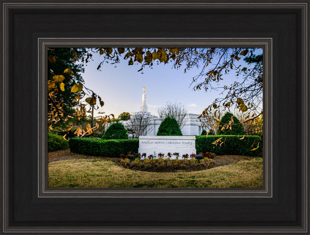 Raleigh Temple - Through the Leaves