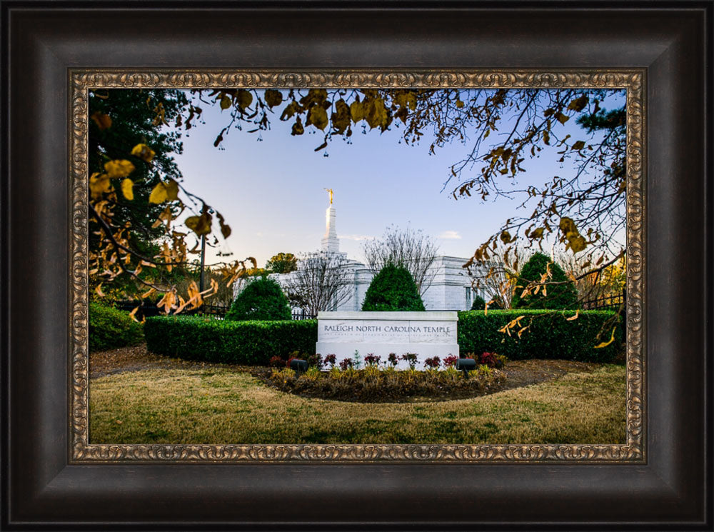 Raleigh Temple - Through the Leaves