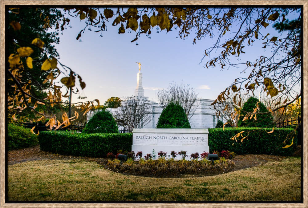 Raleigh Temple - Through the Leaves