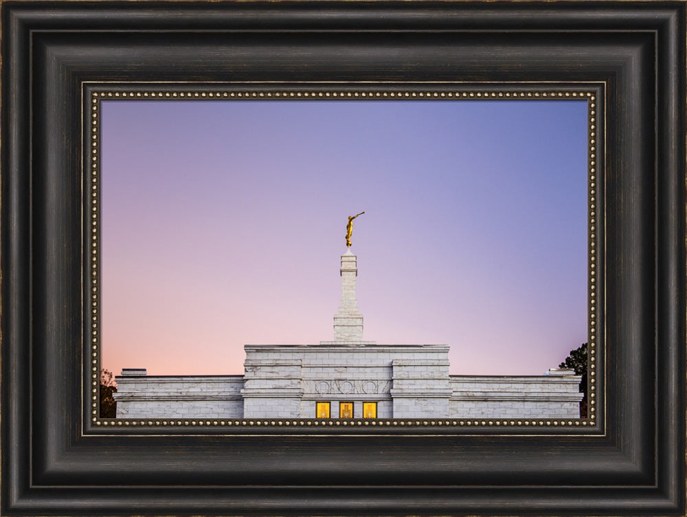 Raleigh Temple - Pink and Purple