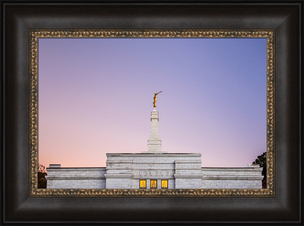 Raleigh Temple - Pink and Purple