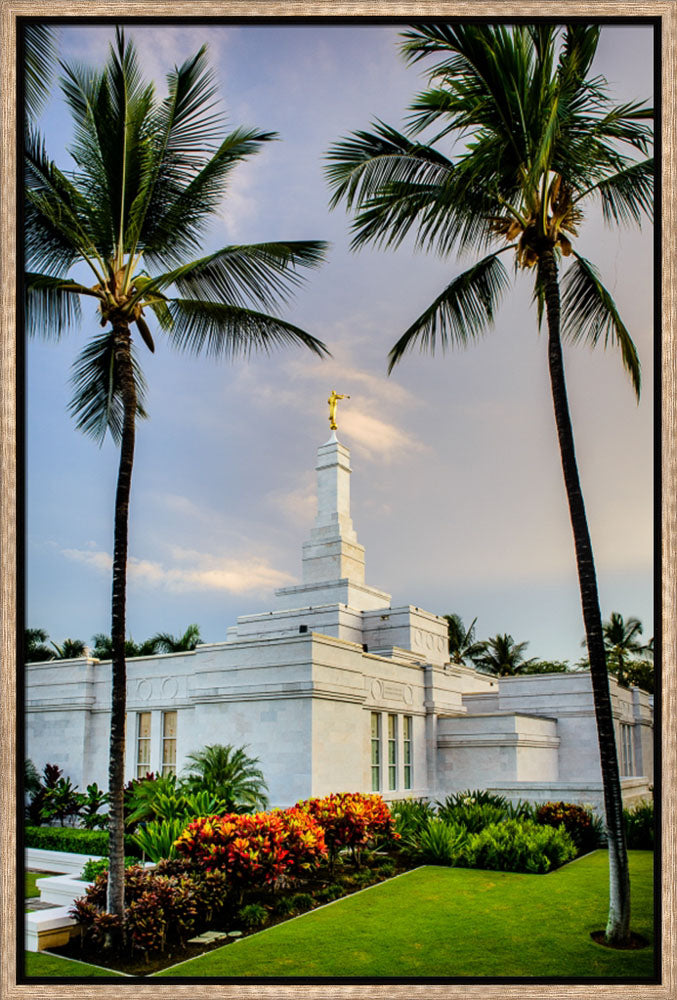 Kona Temple - Palm Trees