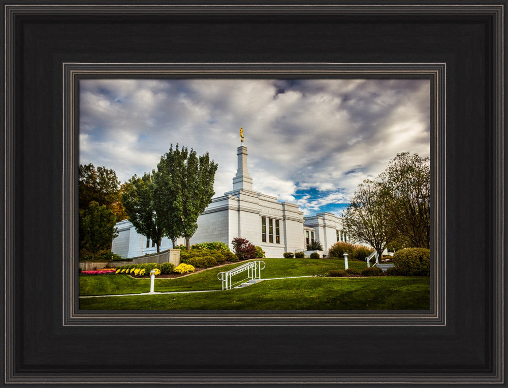 Palmyra Temple - Patch of Blue