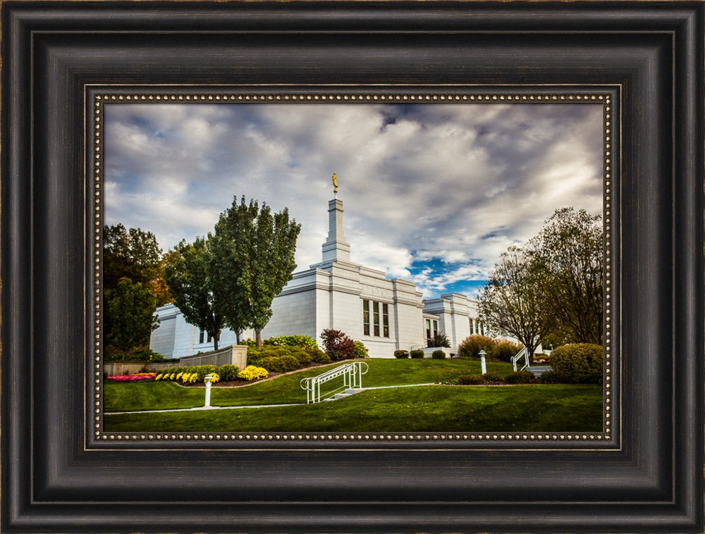 Palmyra Temple - Patch of Blue