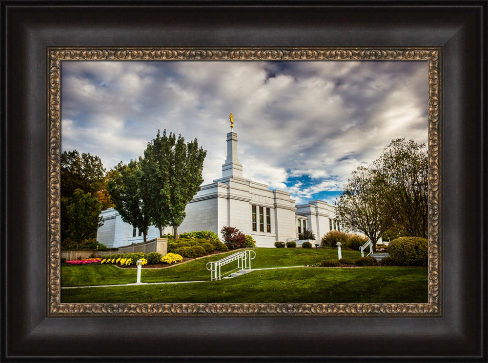Palmyra Temple - Patch of Blue