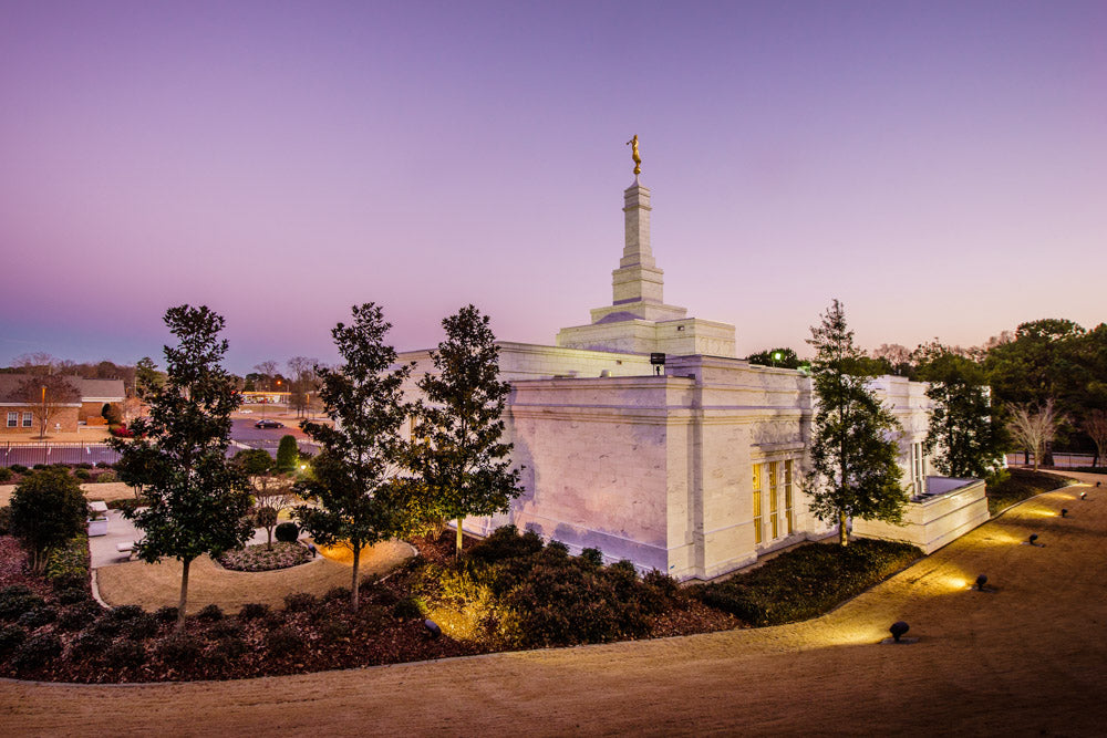Birmingham Temple - Back Hill View